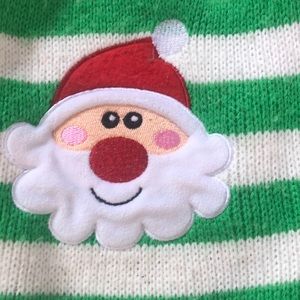 Small Santa Dog Sweater